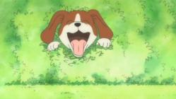 Chi, Gets Even - Episode 18