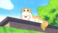 Chi, Frolics About - Episode 20