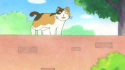 Chi, Returns - Episode 23