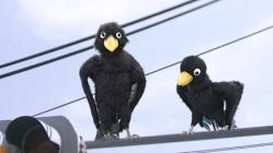 A Visit to Haneda Airport: More fun with Kanji - Episode 3