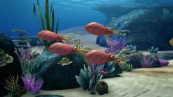 New Squid in Town - Episode 23