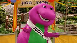 Best in Show - The Chase