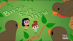 عرض عين الطائر