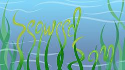 سام الأعشاب البحرية