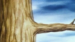 The Shadowless Store